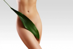 A lady after brazilian wax with a large leaf covering the view of her vagina